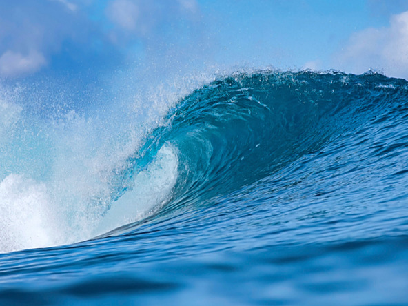 wave forming about to crash